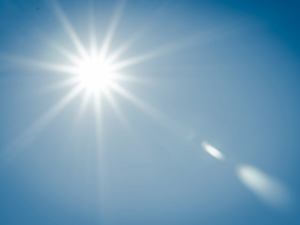 直射日光や高温多湿を避ける