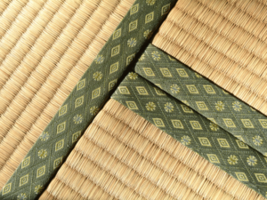 畳にカビが生える原因