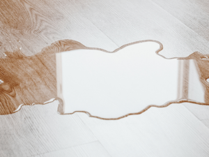 放置厳禁！尿石がたまると起こる症状